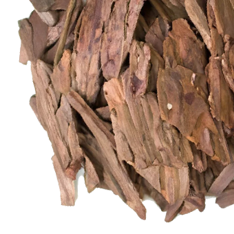 Image of Maritime Pine Bark Extract